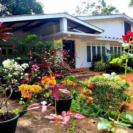 Molino Tourist Rest Anuradhapura Hotel Buitenkant foto