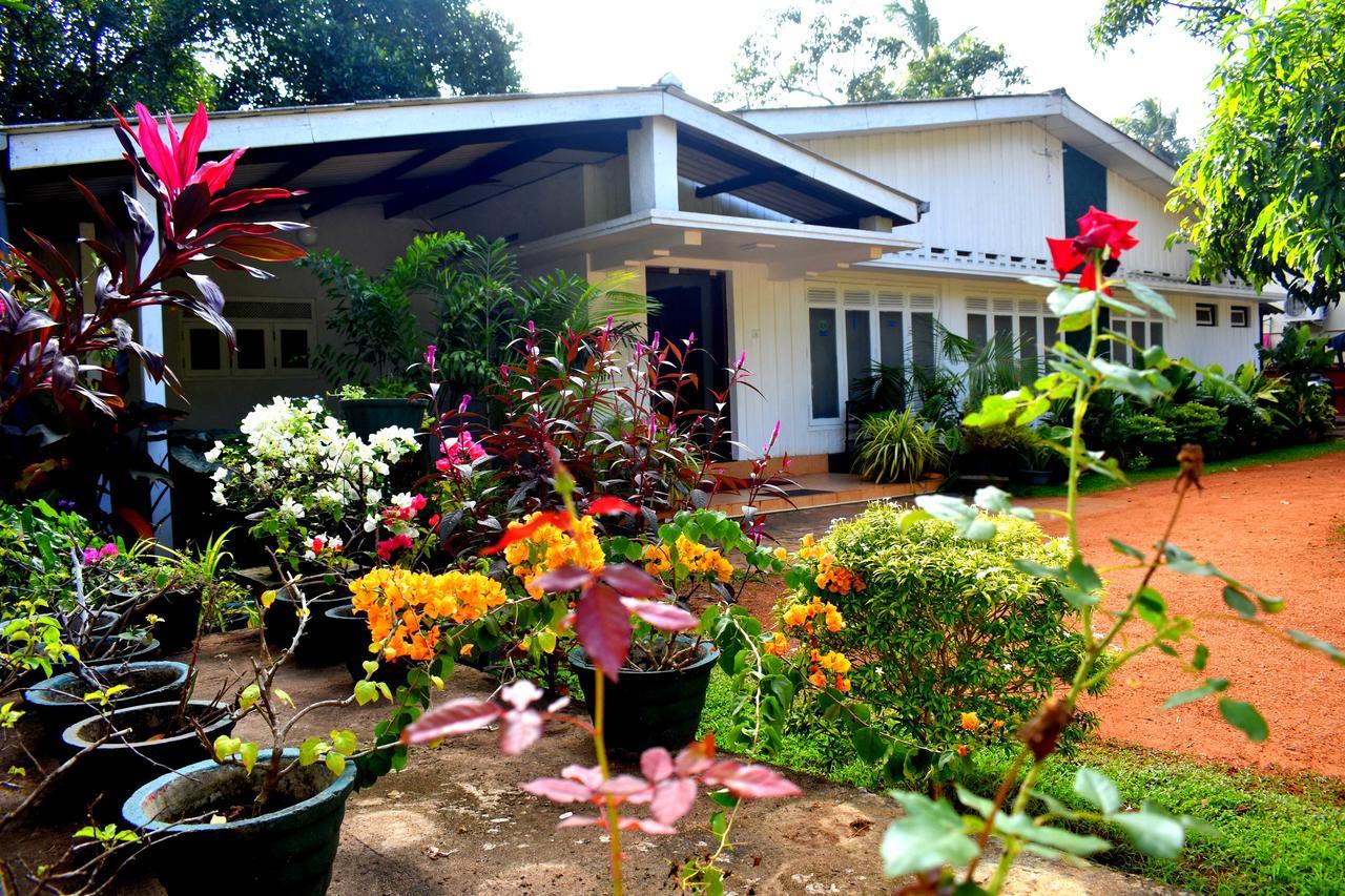 Molino Tourist Rest Anuradhapura Hotel Buitenkant foto